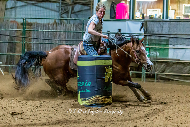 Horse Stand Out in an Auction