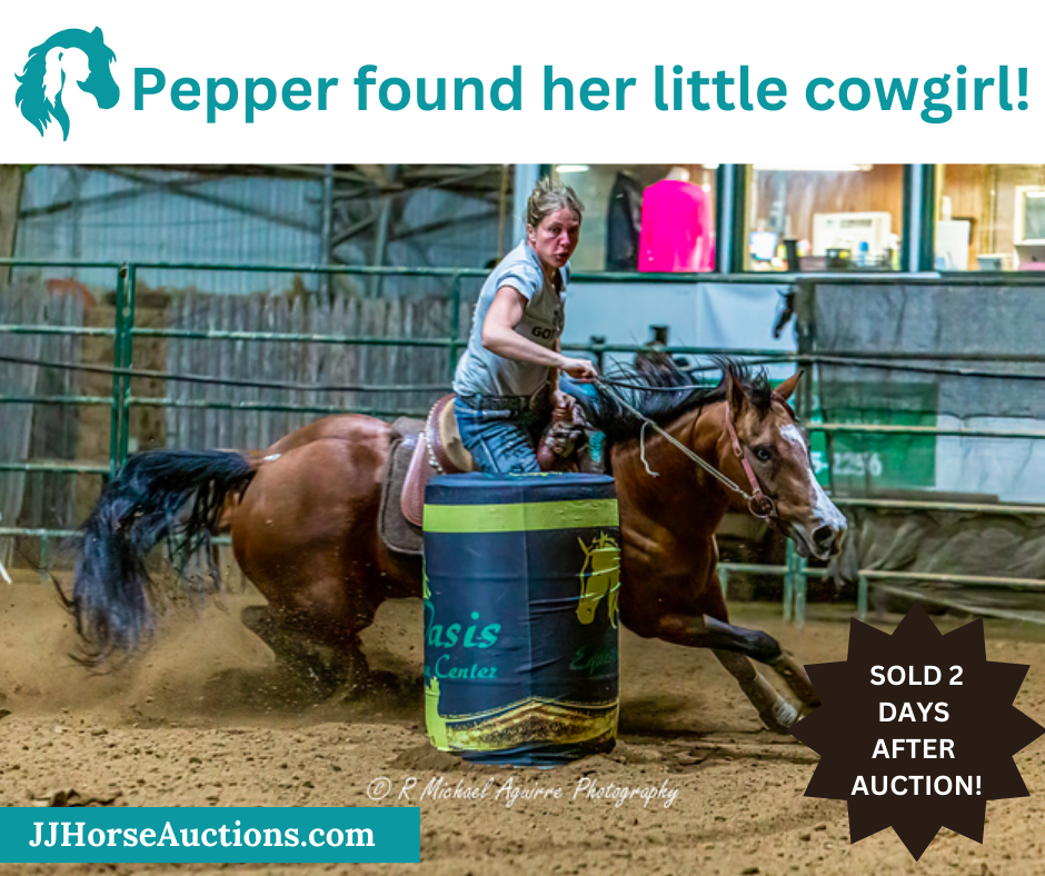 Pepper-Barrel-Racing-Horses-For-Sale