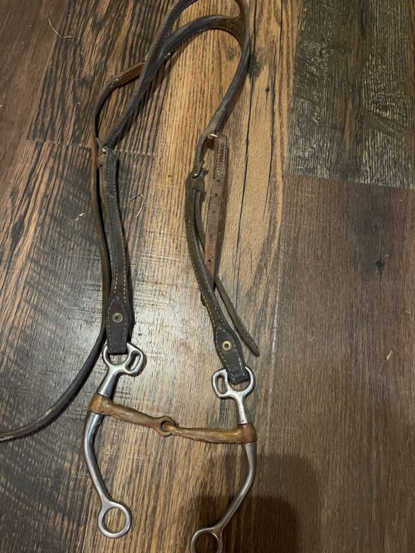 Tom Thumb Bit with Headstall