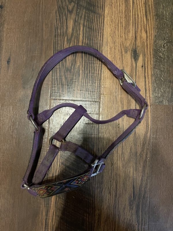 Purple Halter