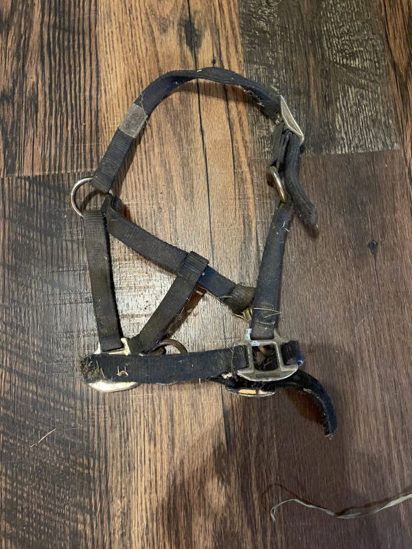 Pony/Foal Halter